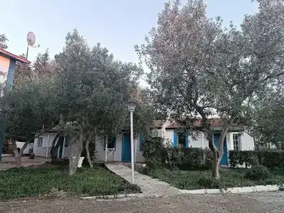 Teos Ormanci Tatil Koyu - 15