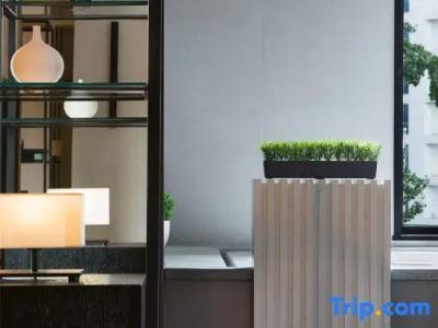 S. Designer (Chengdu Renmin South Road US Consulate) - 41