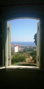 Amazones Village Suites - 161