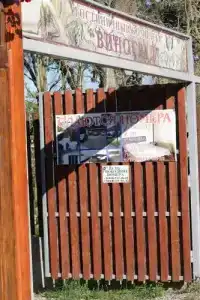 Виноград - 0