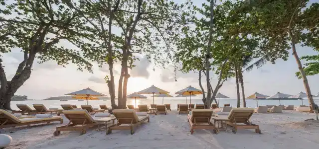 Sala Samui Chaweng Beach Resort - Sha Plus - 18