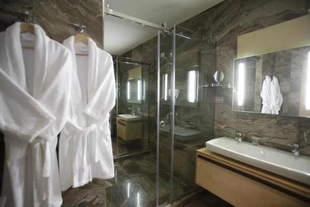 Best Western Premier Ark - 74
