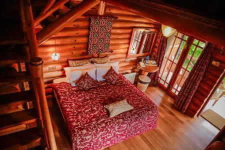 Queenswood Cottage - 37