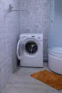 Золотой фазан - 4