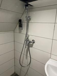 Budget Hostel Sphinx - 21