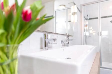 Budget Alexander - 81