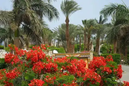 Jasmine Village - 6