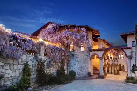 Vinifera Vineyards - 0