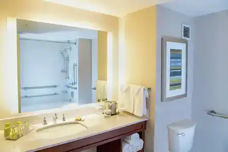 DoubleTree by Hilton Las Vegas Airport - 59