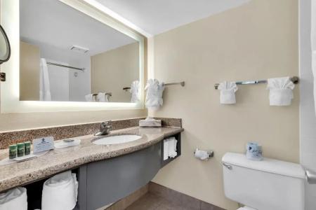 Best Western Orlando Gateway - 78