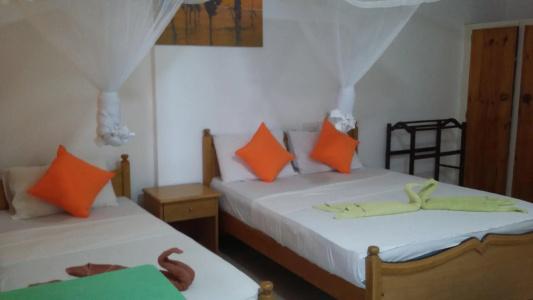 Oasis Beach Resort - 52