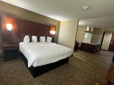 Microtel Inn & Suites by Wyndham College Station - 83