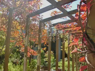 Cypress Karuizawa - 21