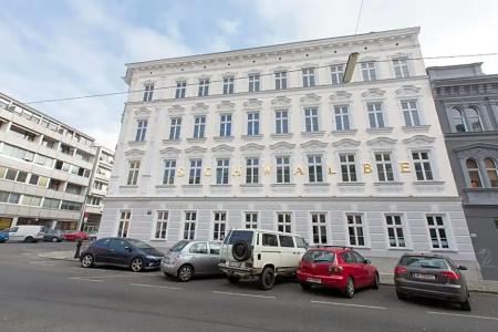 Schwalbe - 20