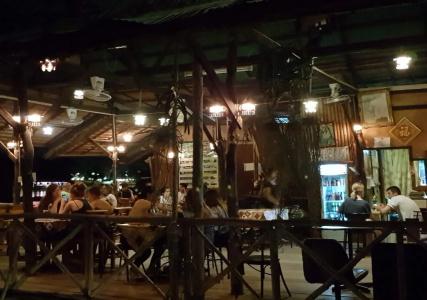 Sugar Cane 1 - 16