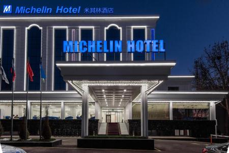 Michelin - 15