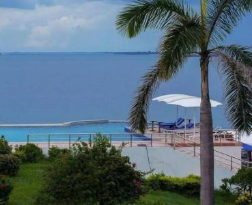 Golden Tulip - 96