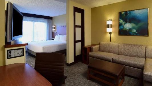 Hyatt Place Dallas Las Colinas - 6