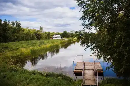 Подсолнухи - 8