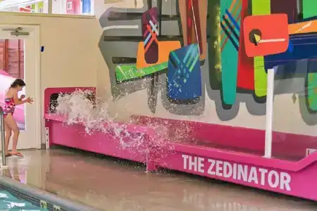 Zed - 24