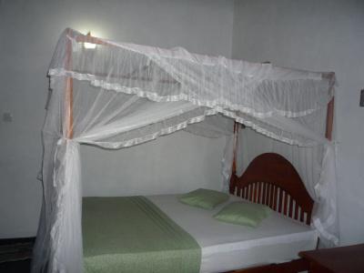 Beach Lagoon Guesthouse - 1