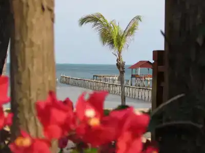 Mango Beach Resort - 16