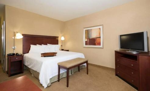 Hampton Inn & Suites I-20 - 53