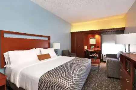 Best Western Plus - 75