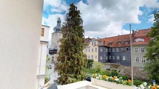 Goldene Traube - 66
