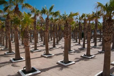 Blue Sea Costa Bastian - 32