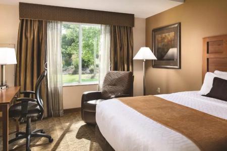 Best Western Plus - 41
