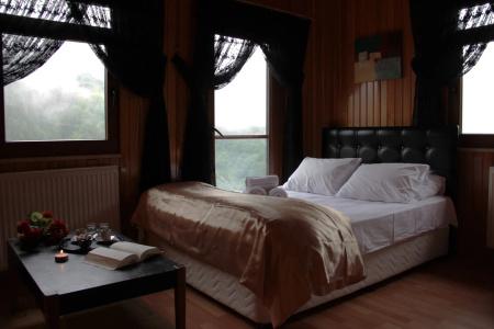 Ayder Villa de Pelit - 2