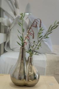 Olea Bay - 81