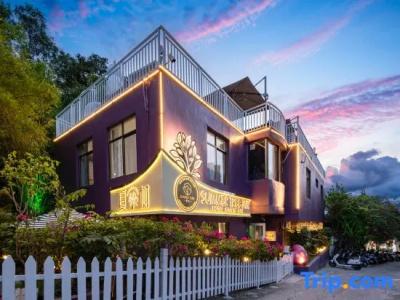 Summer Tree Inn (The Captain's Hostel) - 4
