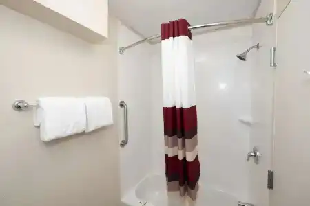 Red Roof Inn Plus+ – Southpoint - 53