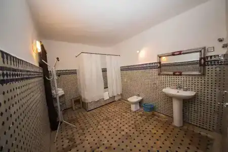 Riad Sara - 5