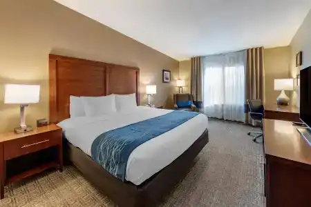 Comfort Inn & Suites Beach - 36