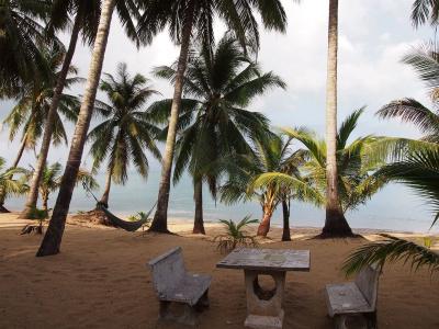 Palm Point Village - 12