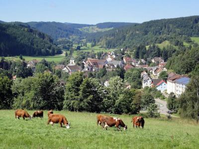 Restaurant Schwörer - 16
