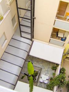 Cavalluccio Marino - 57