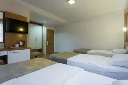 Lonicera City - 5