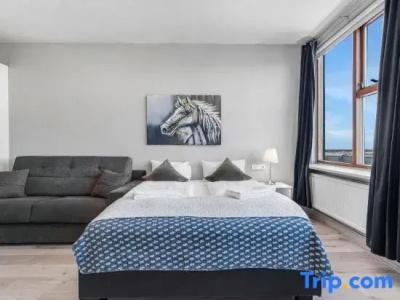 Iceland Comfort - 102