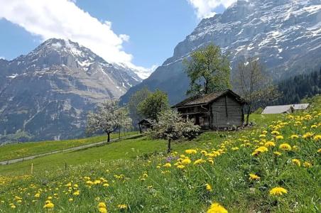 Aspen Alpine Lifestyle - 39