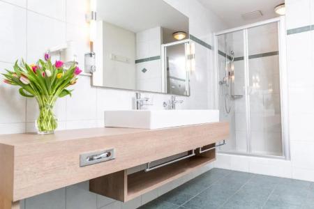 Budget Alexander - 82