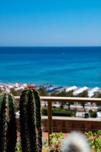 Grande Albergo Delle Rose - 23