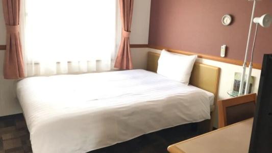 Toyoko Inn Hokkaido Tomakomai Ekimae - 22