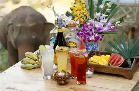 The Chai Lai Orchid - 9
