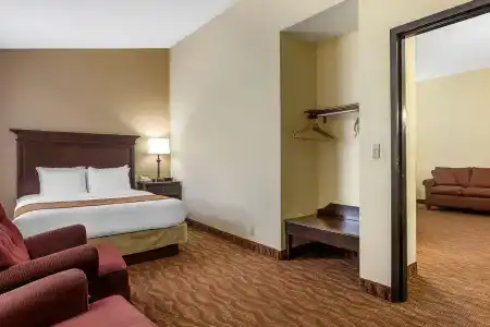 Comfort Inn at Thousand Hills - 71