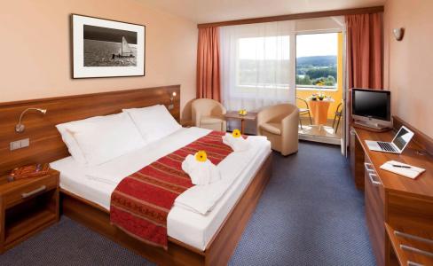 Wellness Frymburk - 4