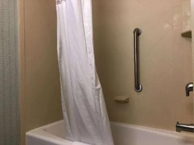 Hampton Inn & Suites Nashville at Opryland - 91